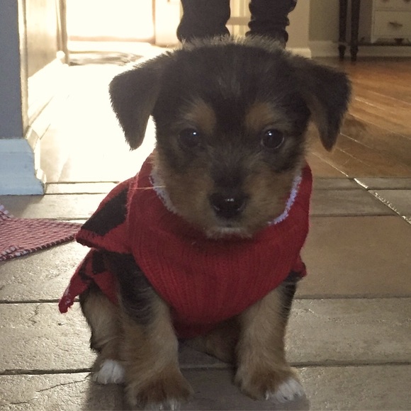 Meet the Posher Other - Meet your Posher, Ryan